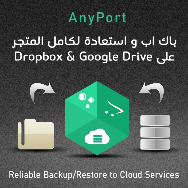 AnyPort Reliable Backup/Restore to Cloud Services